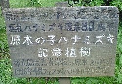 s-hanamizuki2